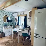 Holenderski Hampton * Dominice