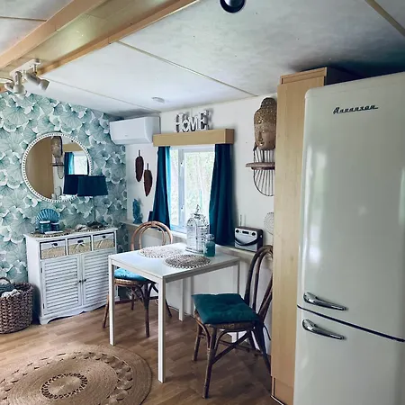 Holenderski Hampton * Dominice