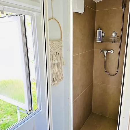 Holenderski Hampton Dominice