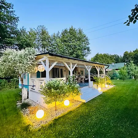 Holenderski Hampton Dominice