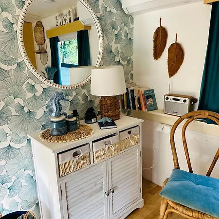 Holenderski Hampton * Dominice