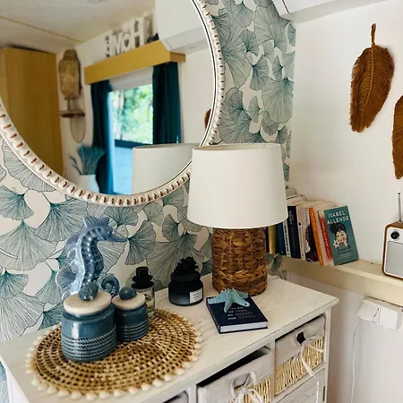 Holenderski Hampton *