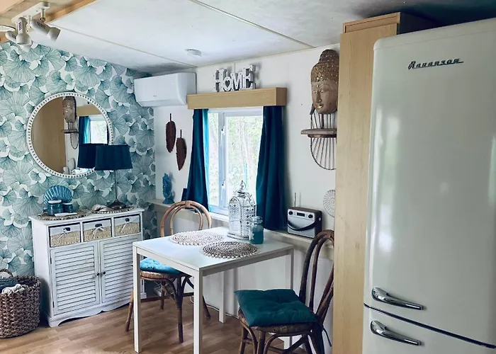 Holenderski Hampton * Dominice