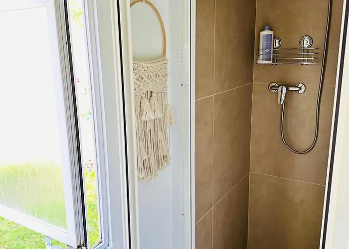 Holenderski Hampton Dominice